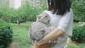 7de283e7743d74b05f455ded38dda5646e925a3f.jpg@280w_158h_1c_100q.jpg