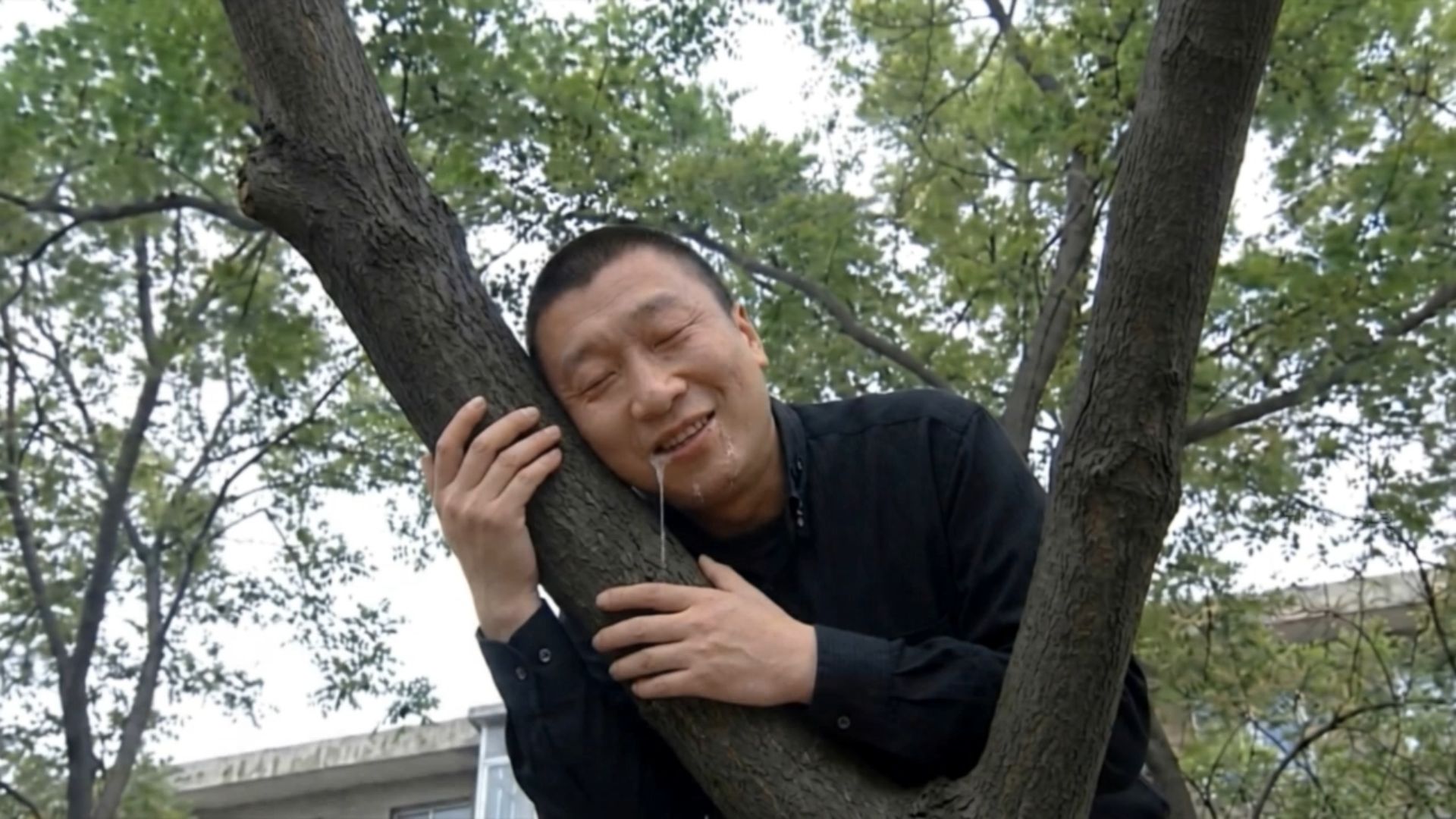 梦 游 买 瓜