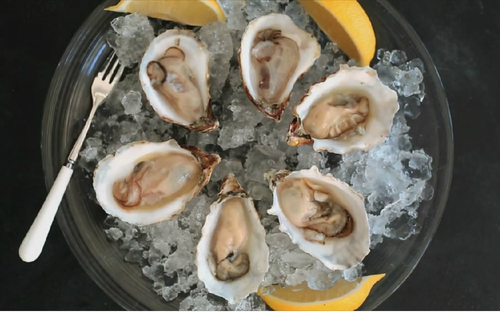 如何像专家一样开生蚝视频在线观看