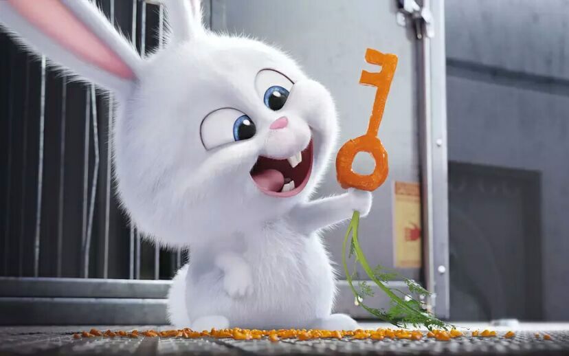 【影片推荐】《爱宠大机密》最爱的还是那只大白兔奶糖