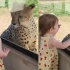 奇妙火花！小女孩贴近豹子与其对视，豹子反应太意外