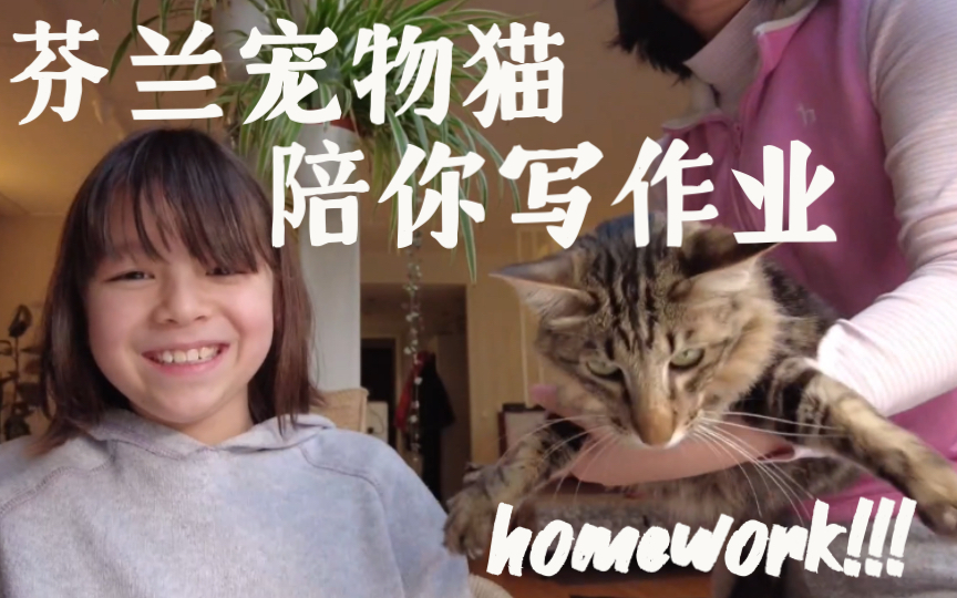 猫咪辅导人类幼崽完成家庭作业的珍贵视频