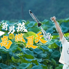 有热血漫那味儿了，17岁农村少年手搓火箭！“人生就是要有passion