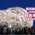 【NHK纪录片】樱花前线之旅：从冲绳到北海道【2013年】【日本】【中日字幕】