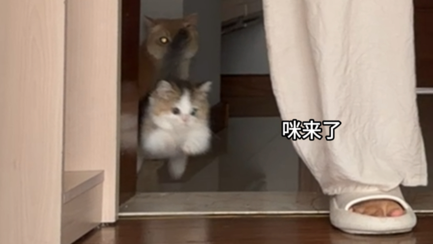 救命！妈真的求你们了！
