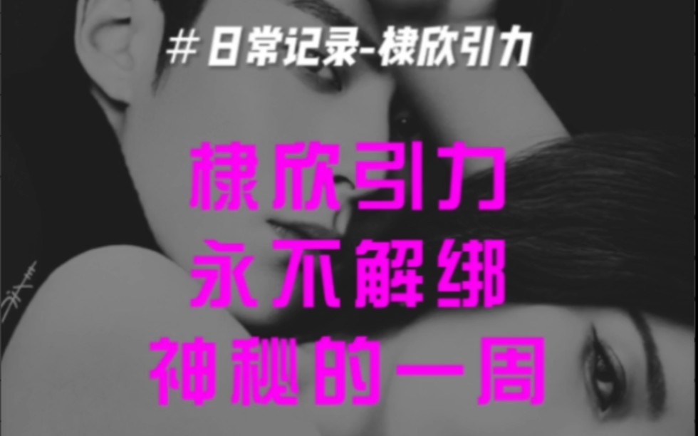 棣欣引力 小情侣的神秘一周哔哩哔哩bilibili