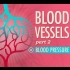 【10分钟速成课：解剖与生理】第28集 - 血管 part 2 血压致死