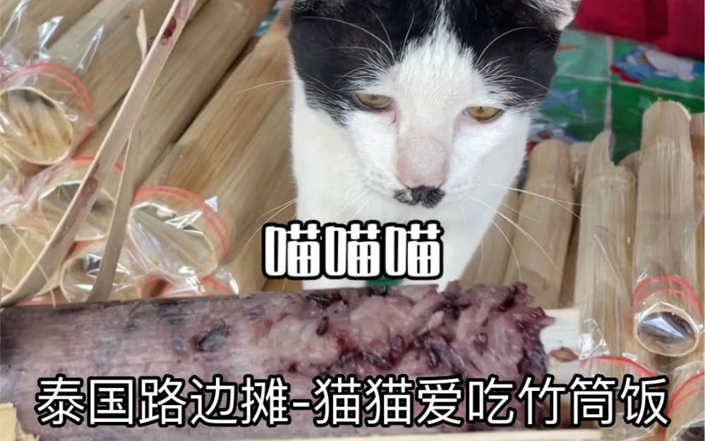 泰国路边摊-猫猫爱吃竹筒饭