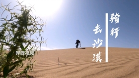 怎样才能当演唱会志愿者 7e52b367cb25708bba0c42ccd521bf09403dc0d3.jpg@280w_158h_1c_100q.jpg