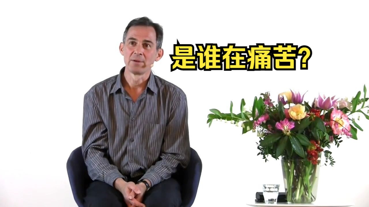 Rupert Spira：如何面对痛苦？Two Approaches to Suffering 鲁伯特斯彼拉