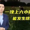 纯农业科普！一晚上发生了啥？能干啥？5大可能分析！【主播说三农