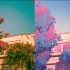 Procreate照片色彩速涂-花树和房子