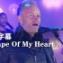 Sting《Shape Of My Heart》这个杀手不太冷主题曲现场版来啦！！！（斯汀）