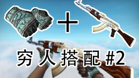 csgo怎么搭人_csgo茄子(2)