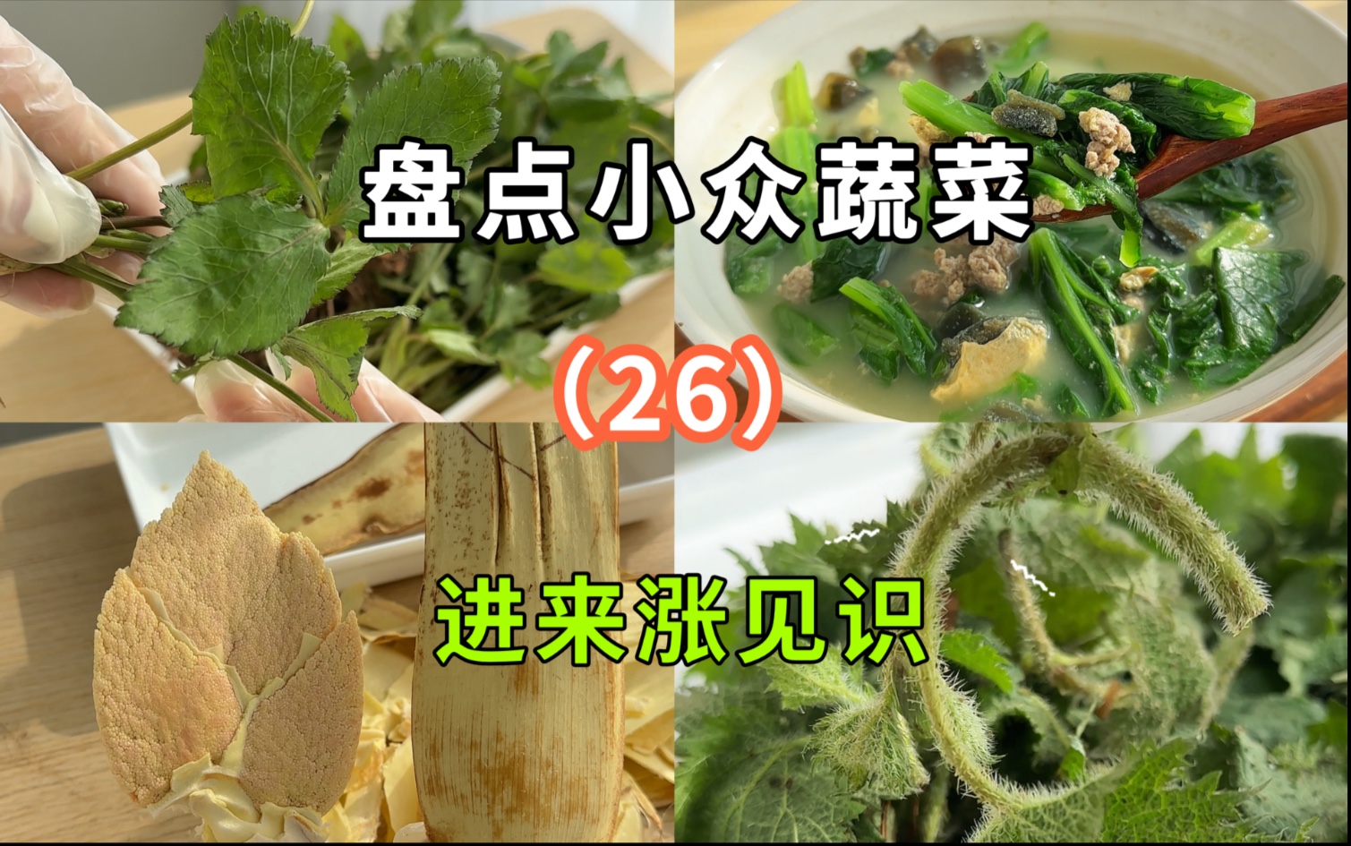 盘点一些小众，但味道不错的蔬菜～第26期！