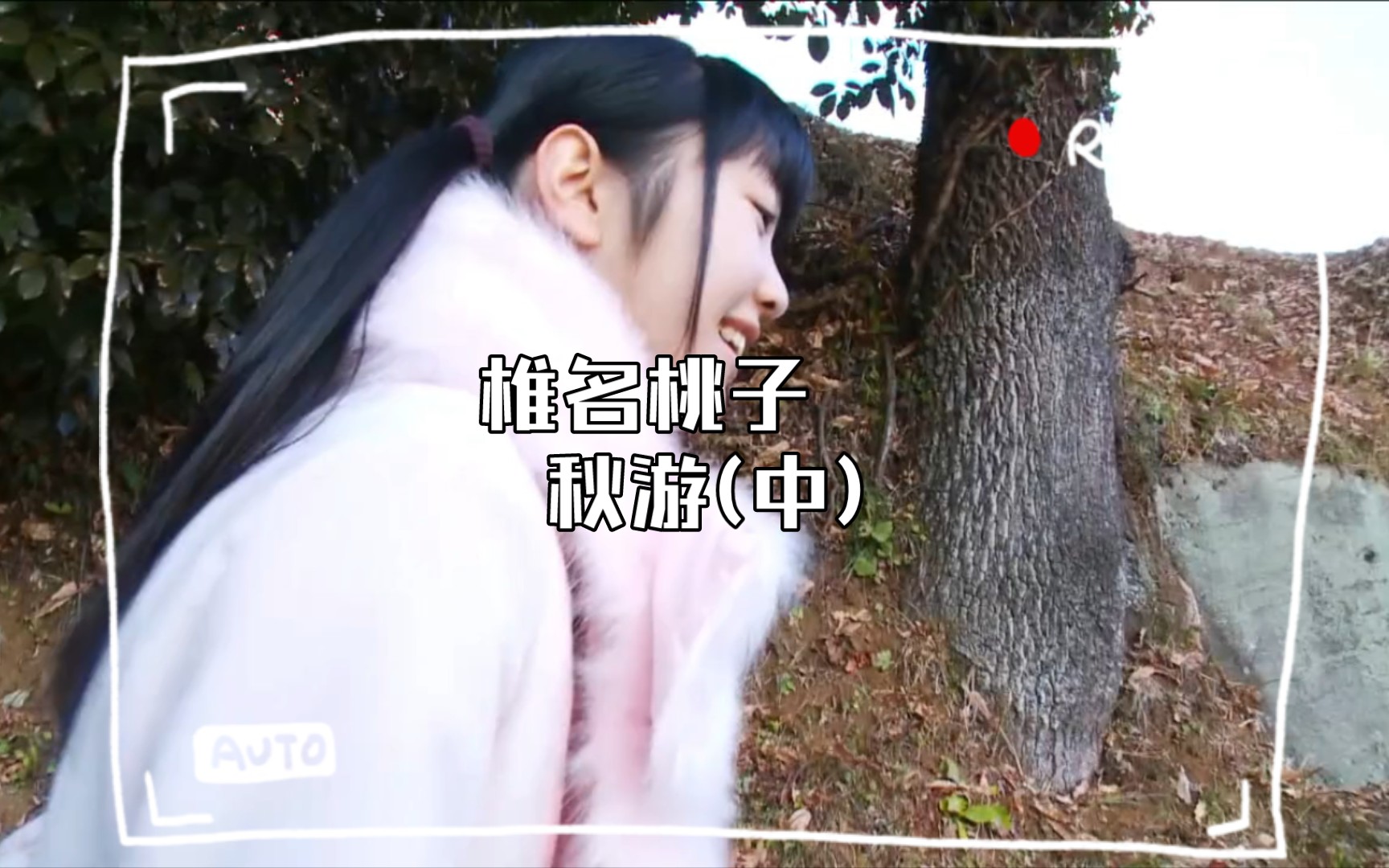 Momoko Shiina Autumn Tour (Medium)