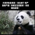 请帮帮旅美熊猫美香一家吧！