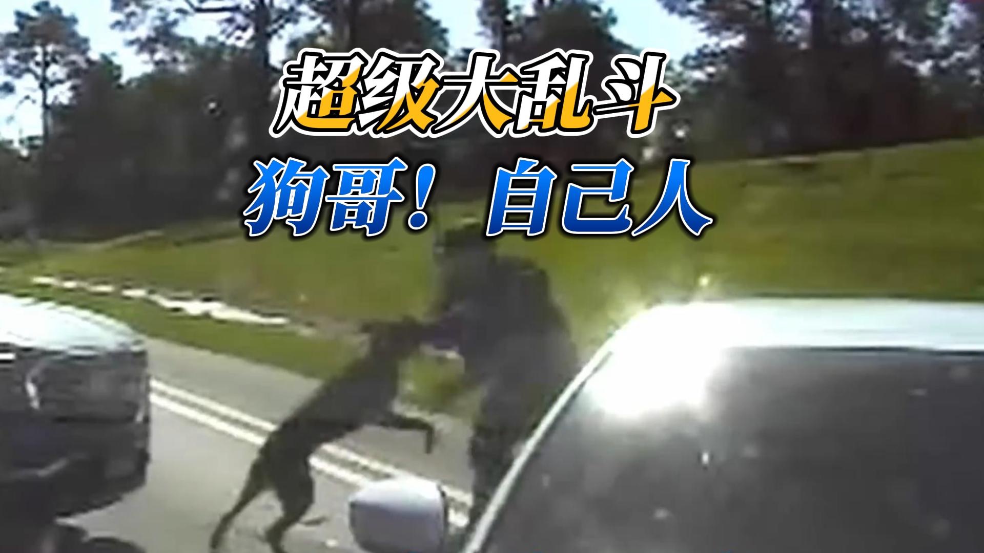 超级大乱斗——狗哥！自己人啊！