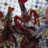 8只野生小龙虾惨遭毒手，案发现场混乱不堪，竟然还得用电钻保命