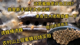 7ef95367af57cb67340679ed0832fdcc315895af.jpg@280w_158h_1c_100q.jpg