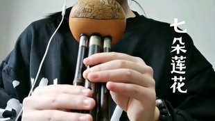 西海情歌葫芦丝简谱(2)