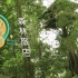 【纪录片】老挝树屋旅店 - 不一样的旅店（华语）Unique Lodging 01