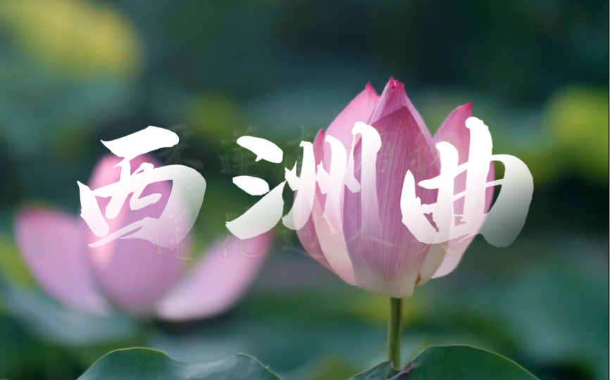 【一分钟诗赋】南朝乐府民歌压卷之作"南风知我意,吹梦到西洲《西