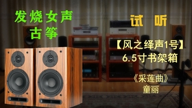 葬心古筝曲谱文库_葬心古筝谱