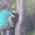 210625 大熊猫福宝 卡头了 吓出狗叫声 奶爸解救了她之后 摸摸头安慰她