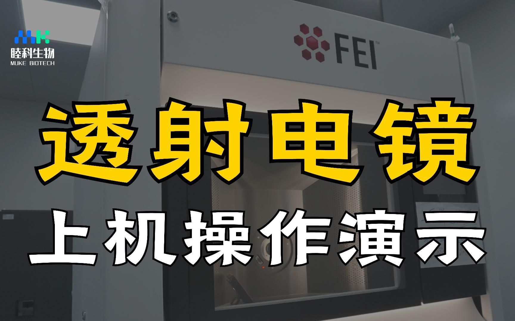 透射电镜 | TEM 上机操作演示以及过程中的细节解析