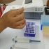 一.PCR核酸提取过程_20190710