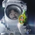 【韩国广告】宇宙啤酒青岛