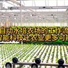 全自动水培农场的工作流程，智能科技让农业更多可能