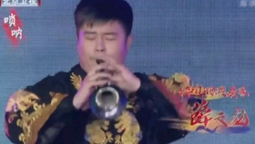 二胡独奏曲赛马曲谱_赛马二胡独奏曲简谱(4)
