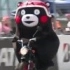 呀呼！快开看看吉祥物熊本熊骑机车~笑喷了！