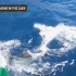 十大鲨鱼遇袭|| JukinVideo十强 (1080p)