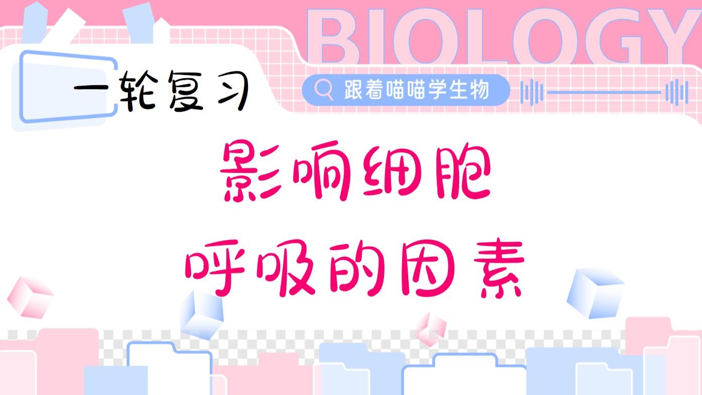 呼吸作用影响因素【一轮复习】