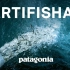 (纪录片)Artifishal（有关外媒报道挪威三文鱼的原片）