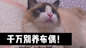 7fd27f95a55b5cc8874f9723f96b99a8dc2655fc.jpg@280w_158h_1c_100q.jpg