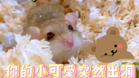 7fdd984547e9ca870904a22fd3058d96d005e2c5.jpg@480w_270h_1c