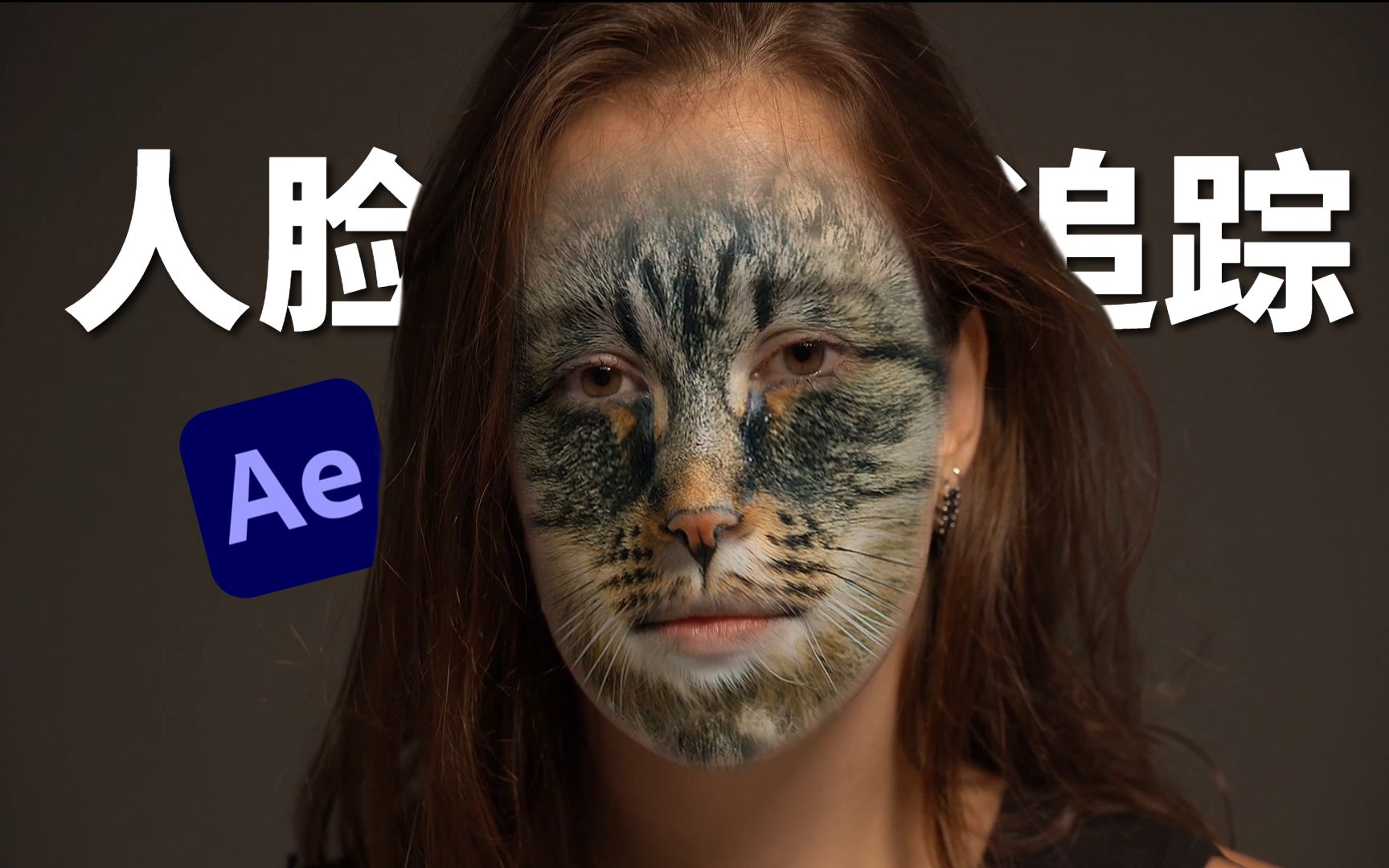 附插件下载链接！AE脸部特效/换脸插件Face tools使用教程