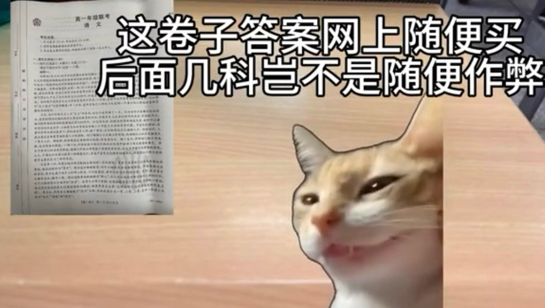 每次考金太阳卷子都是神仙乱斗！