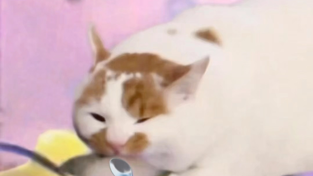 偷懒一下 asmr