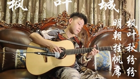 雪如花大提琴谱_Let it Go 冰雪奇缘主题曲小提琴大提琴钢琴三重奏谱(2)