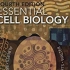 细胞生物学讲解