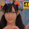 【4K60fps超清】 一亿播放AKB神曲 Heavy Rotation 无尽重播 ヘビーローテーション