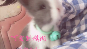 806b03d5258cee8c55f931a10f4139af03bb7b7a.jpg@280w_158h_1c_100q.jpg