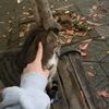 它陪着我，我贴着它