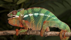 808b1233a36b0565229c37639fa3eab6c0b24755.jpg@280w_158h_1c_100q.jpg