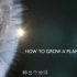 BBC中英双字万物生长&植物之歌How-to-grow-a- planet.720p.BD-01